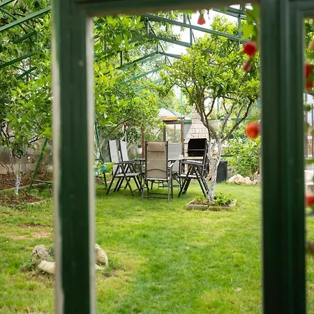 Milic - One Bedroom With Sea View And Terrace